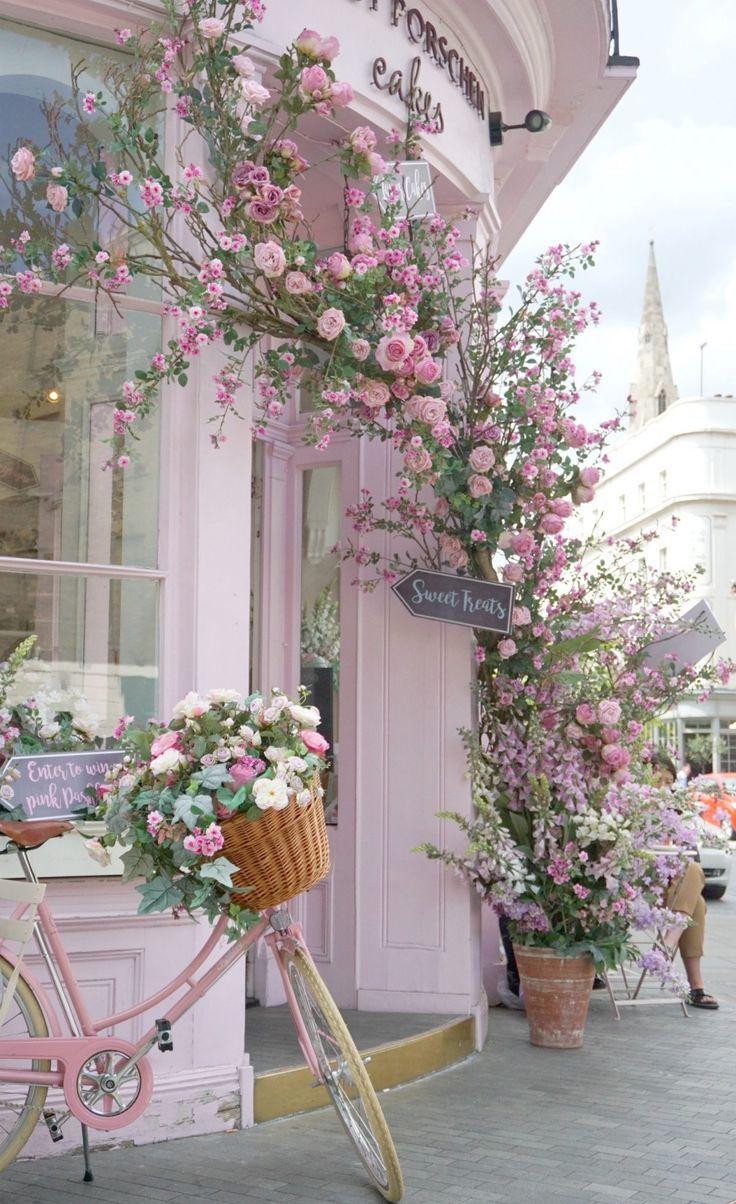 Velvet Blossom Waltz: A Symphony of Petals
